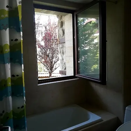 Elegance * בנסקו