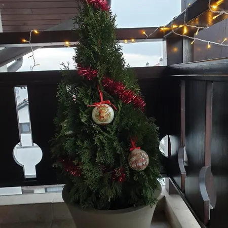 アパート Elegance バンスコ